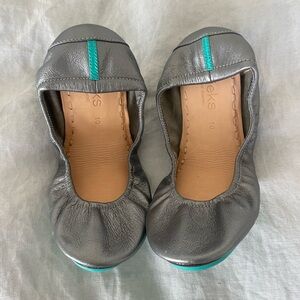Tieks - metallic pewter size 10.  https://tieks.com/metallic-pewter.html